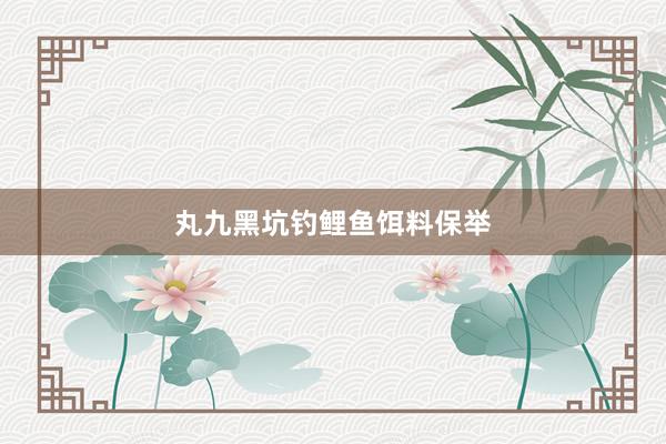 丸九黑坑钓鲤鱼饵料保举