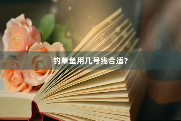 钓草鱼用几号线合适？